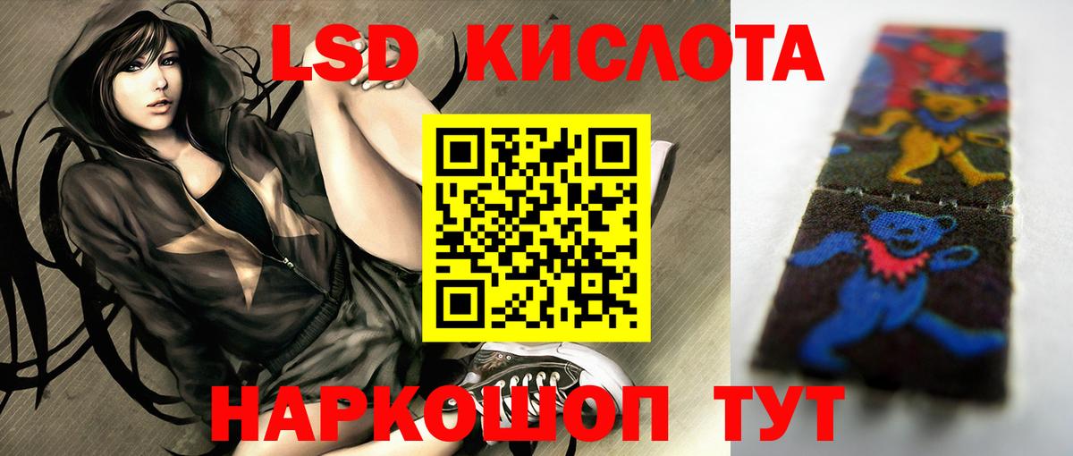 Псилоцибиновые грибы Ухта