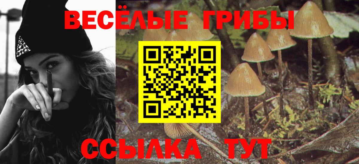 Ухта  Псилоцибиновые грибы прущие грибы  Вход с VPN 